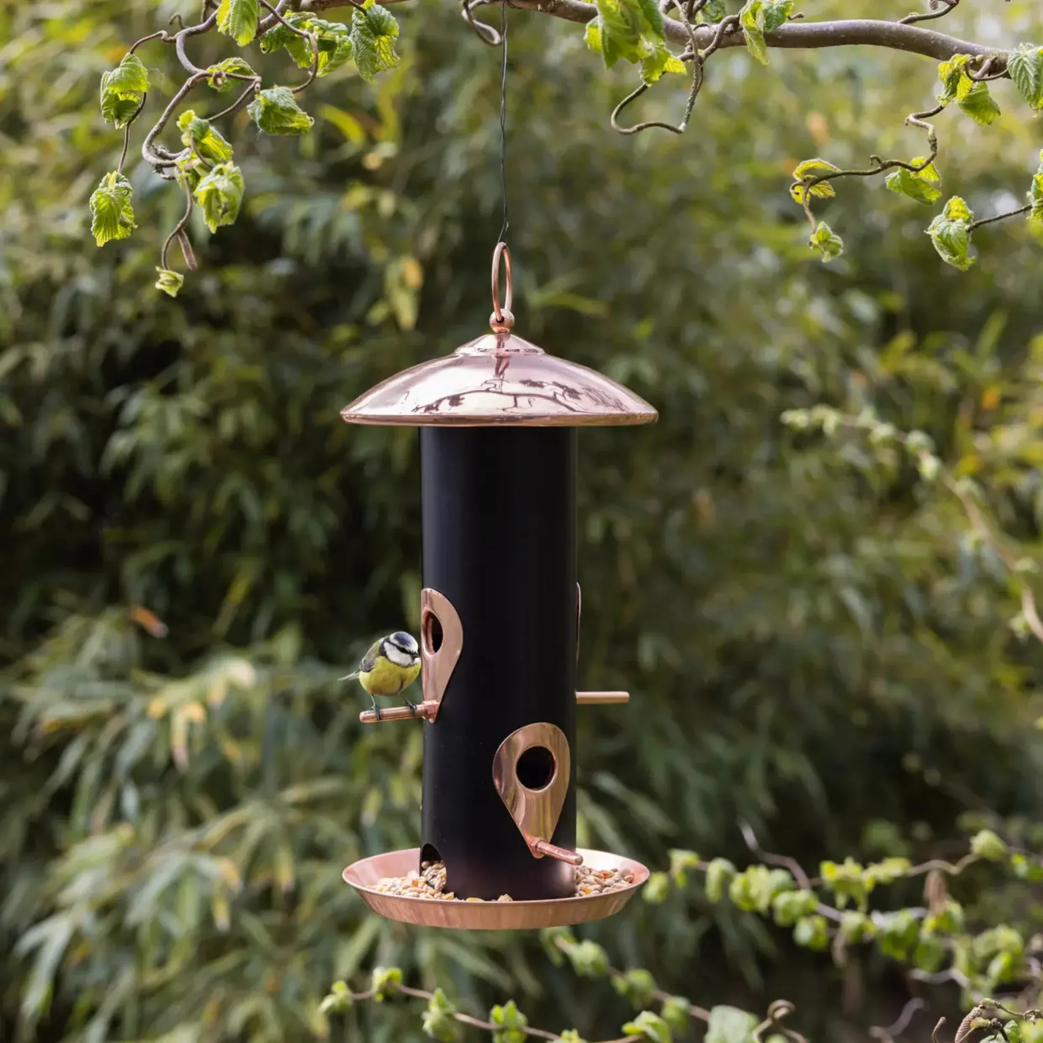 Black & Copper Bird Seed Feeder