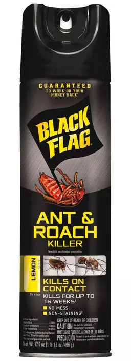 Black Flag Ant & Roach Killer (Aerosol) - 17.5 oz.