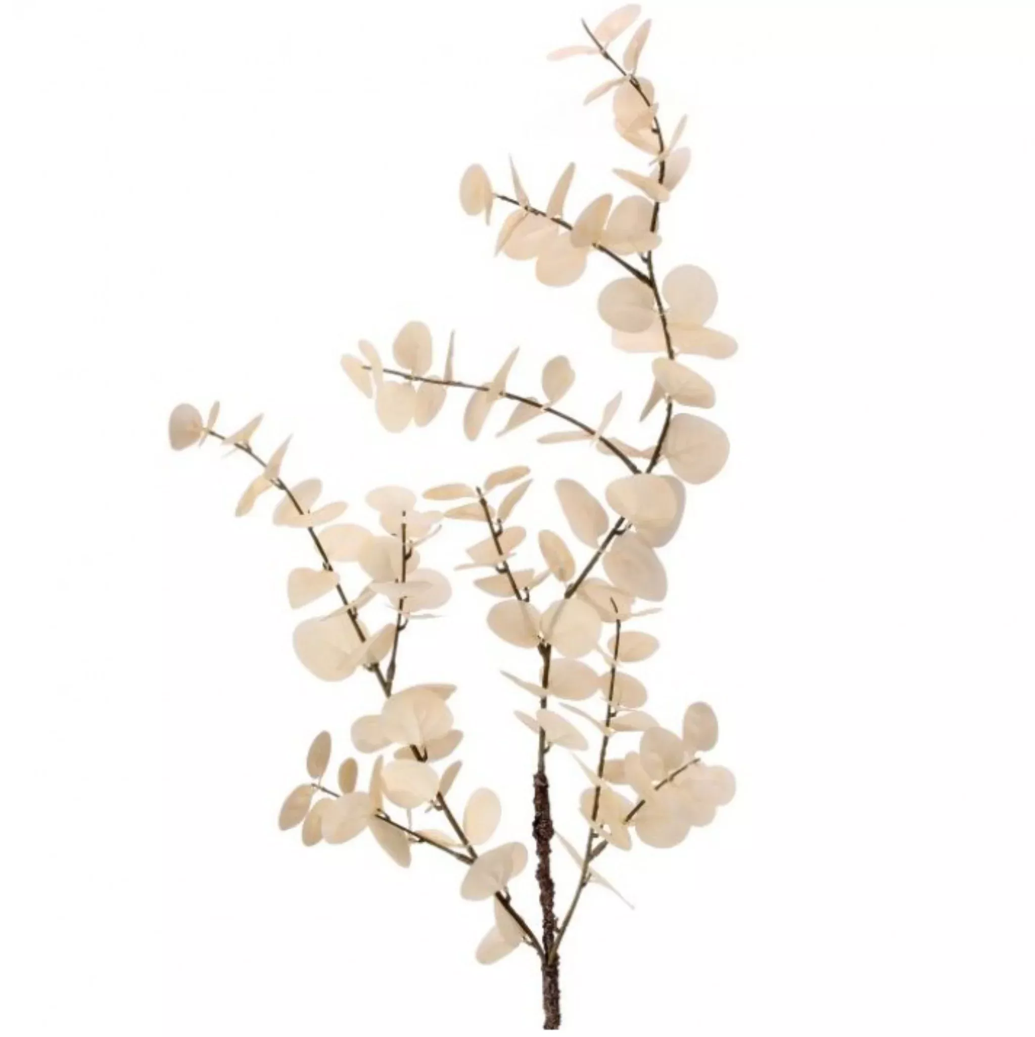 Blanched Eucalyptus Spray