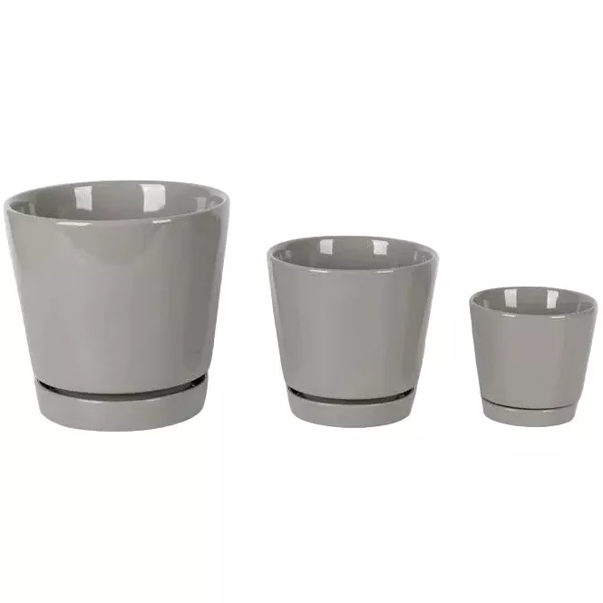 Border Concepts Ceramic Flair Saucer Planter - 4.5" to 8"