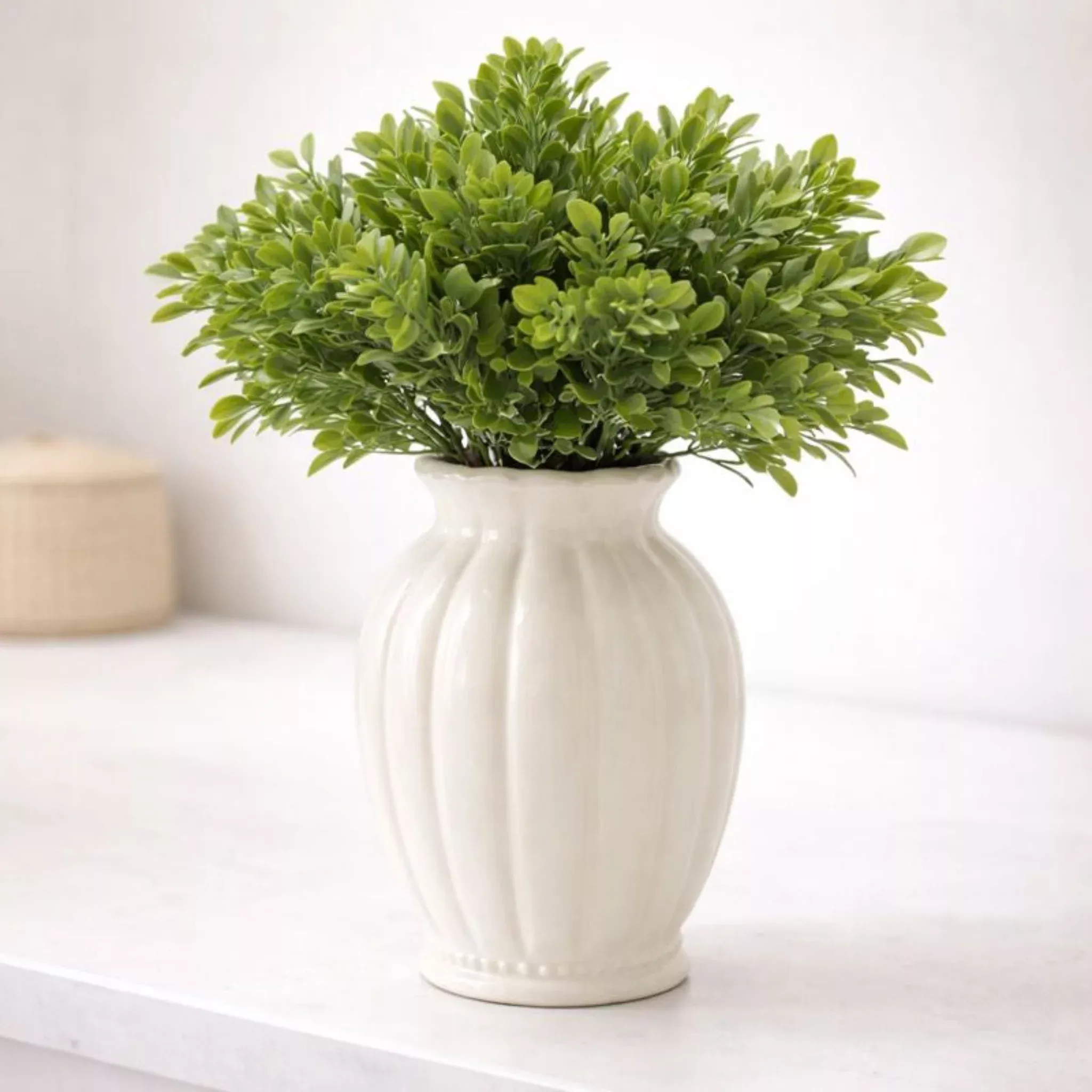 Boxwood Cluster Stem