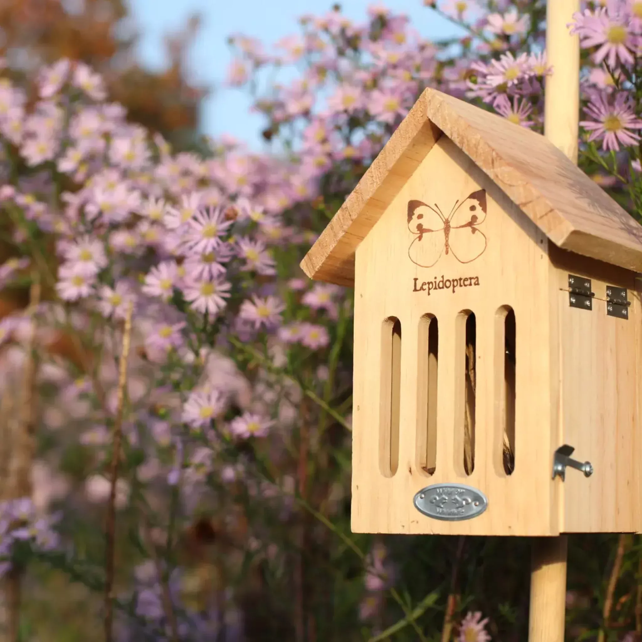 Butterfly Shelter House