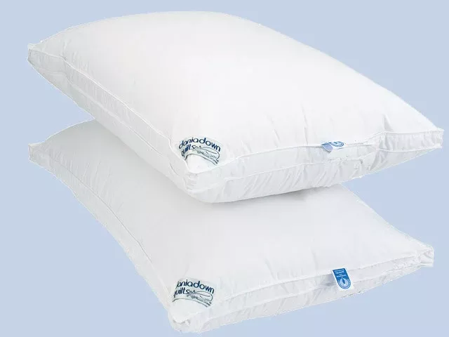 Dania Down Daniadown 2000101 Regular Royal Pillow