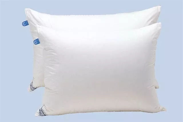 Dania Down Daniadown 2000301 Regular Hi-Loft Pillow