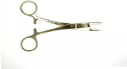 Eagle Claw Surgical Pliers With Scissors - 6"