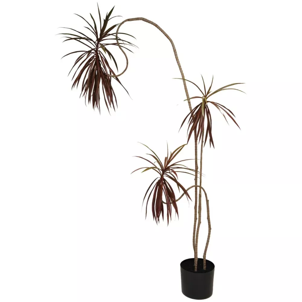 Faux Dracaena Tree w/ Plastic Pot - 70"
