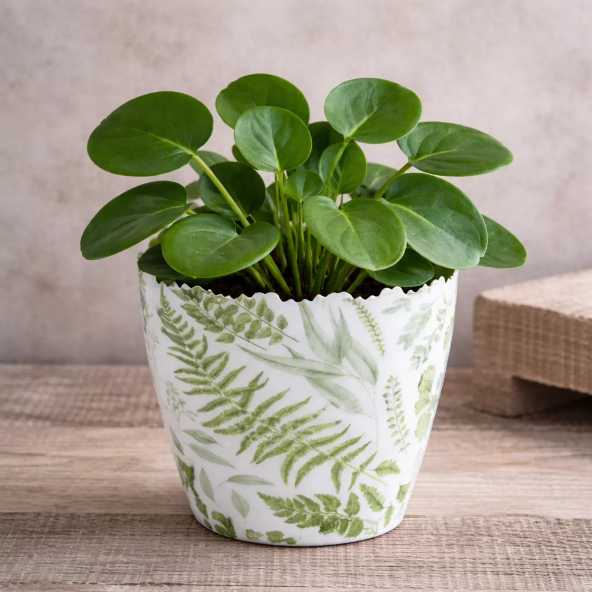 Fern Enameled Iron Pot