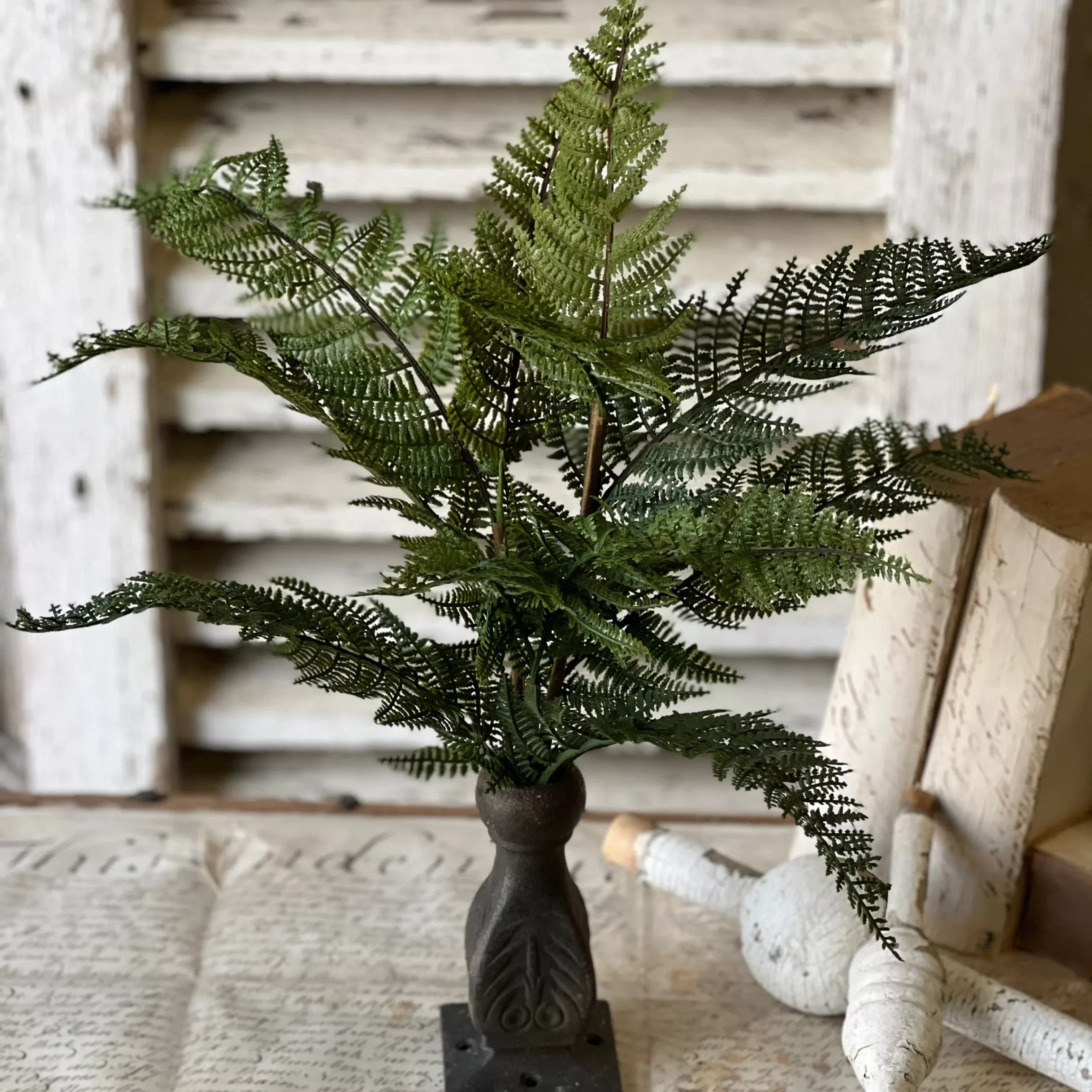 Fernwood Haven Bush