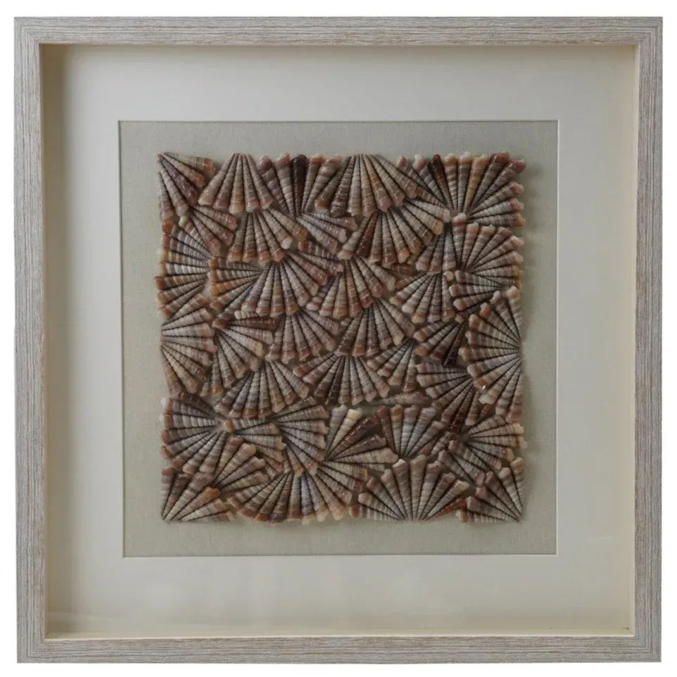 Framed Spiral Shell Shadow Box Wall Décor - 23.5" x 23.5"