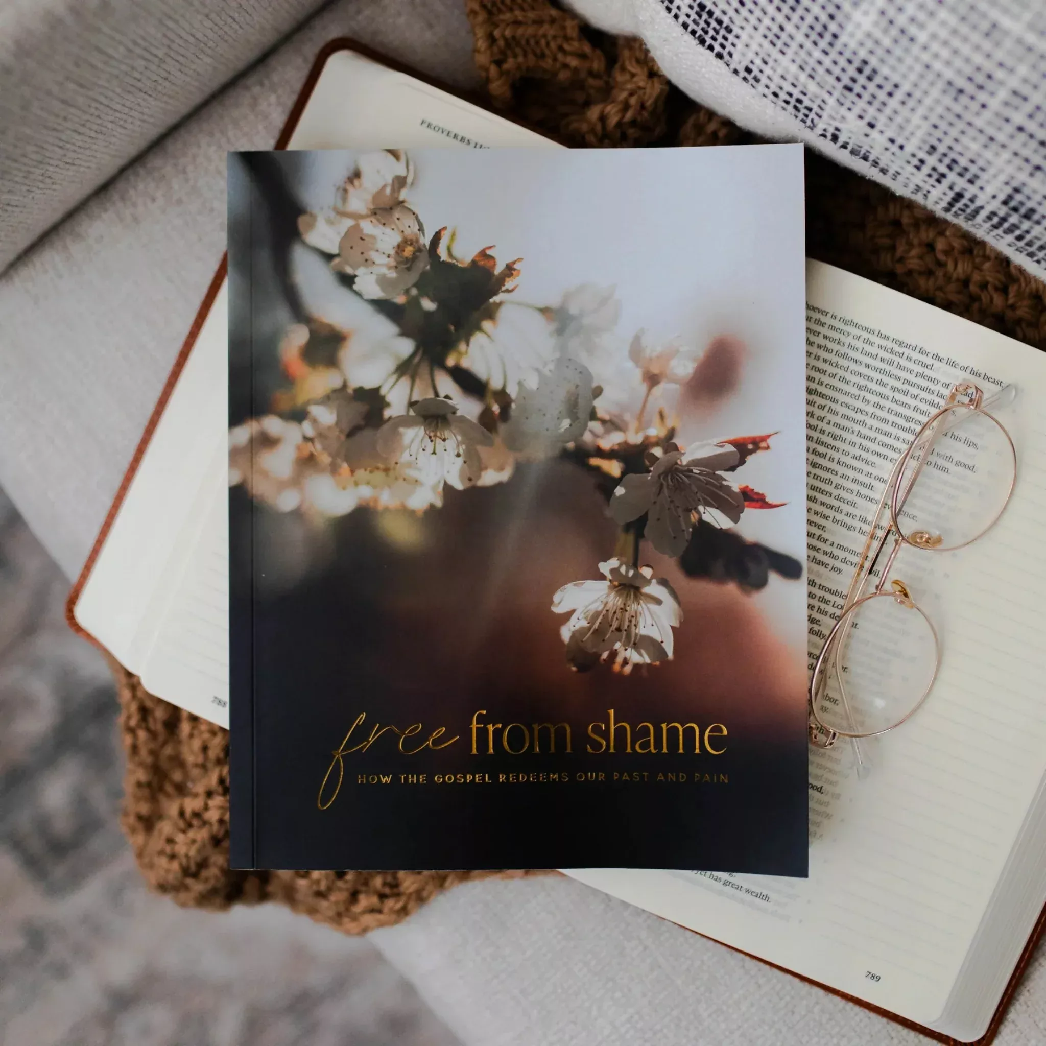 Free From Shame Bible Study