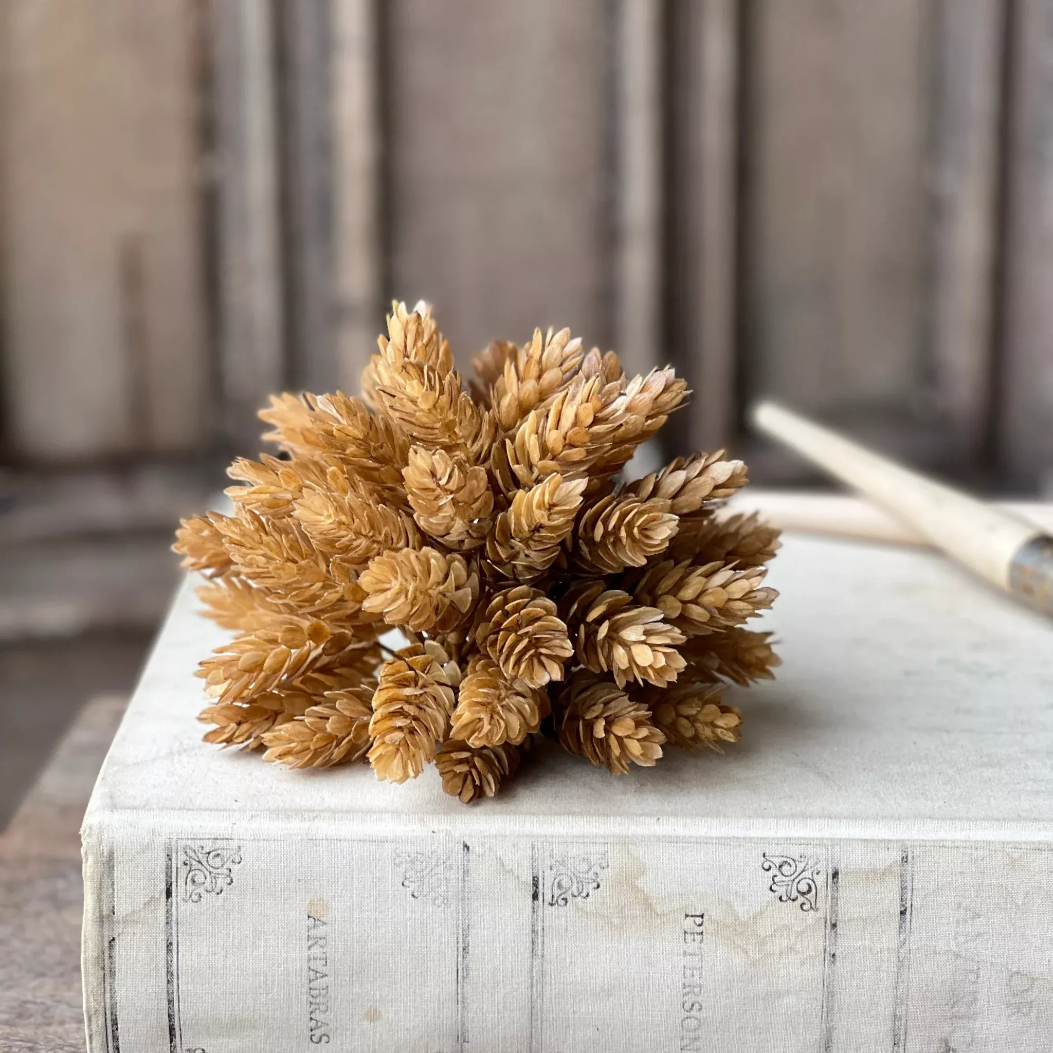 Golden Hops Half Sphere