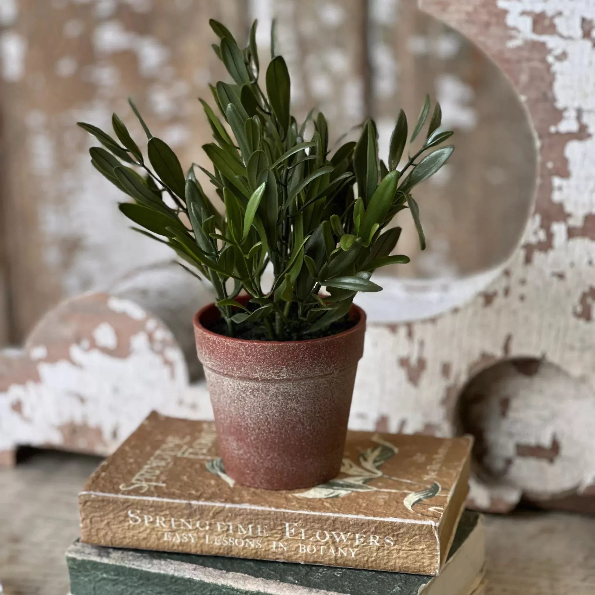 Hebron Pot Olive