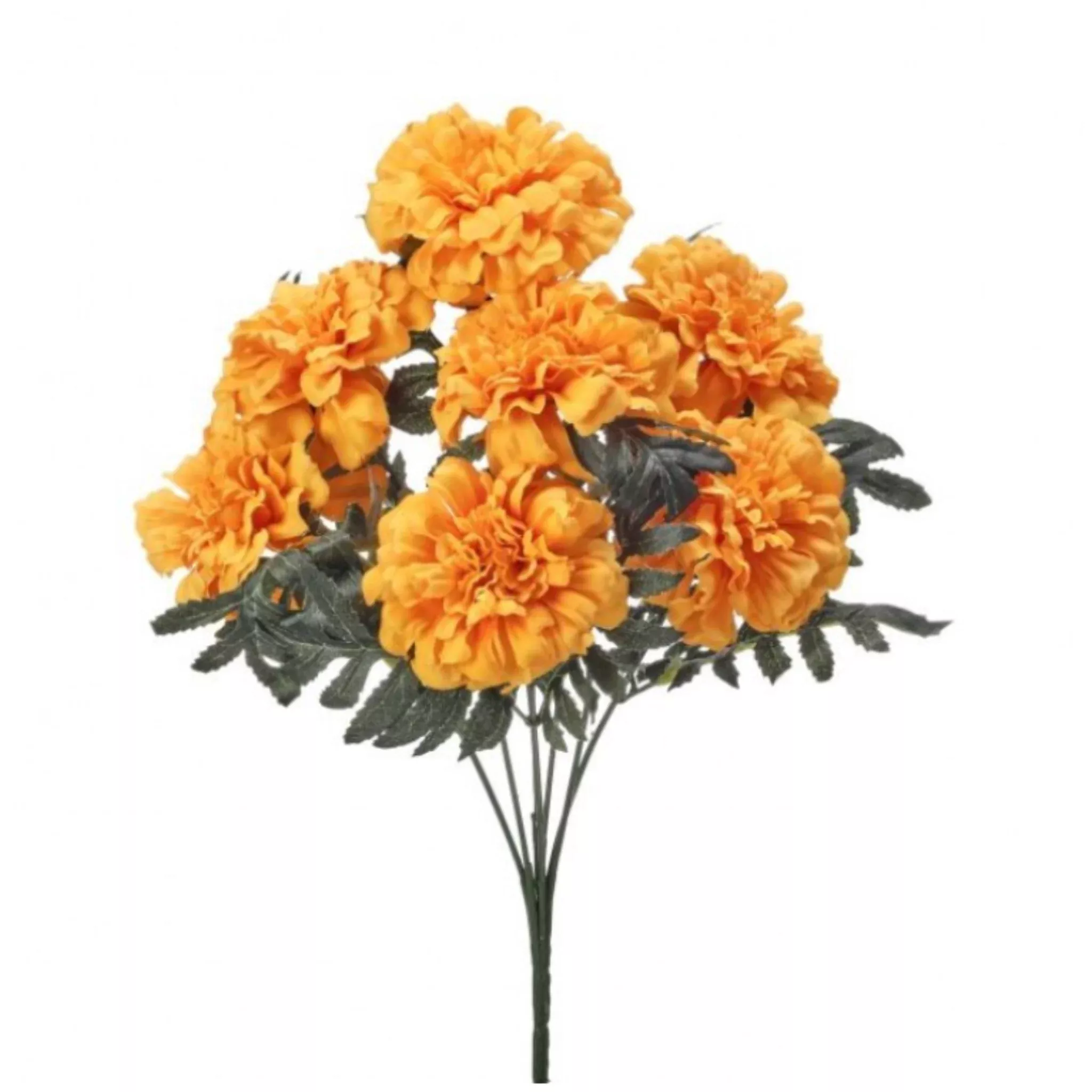 Marigold Blooms Bush