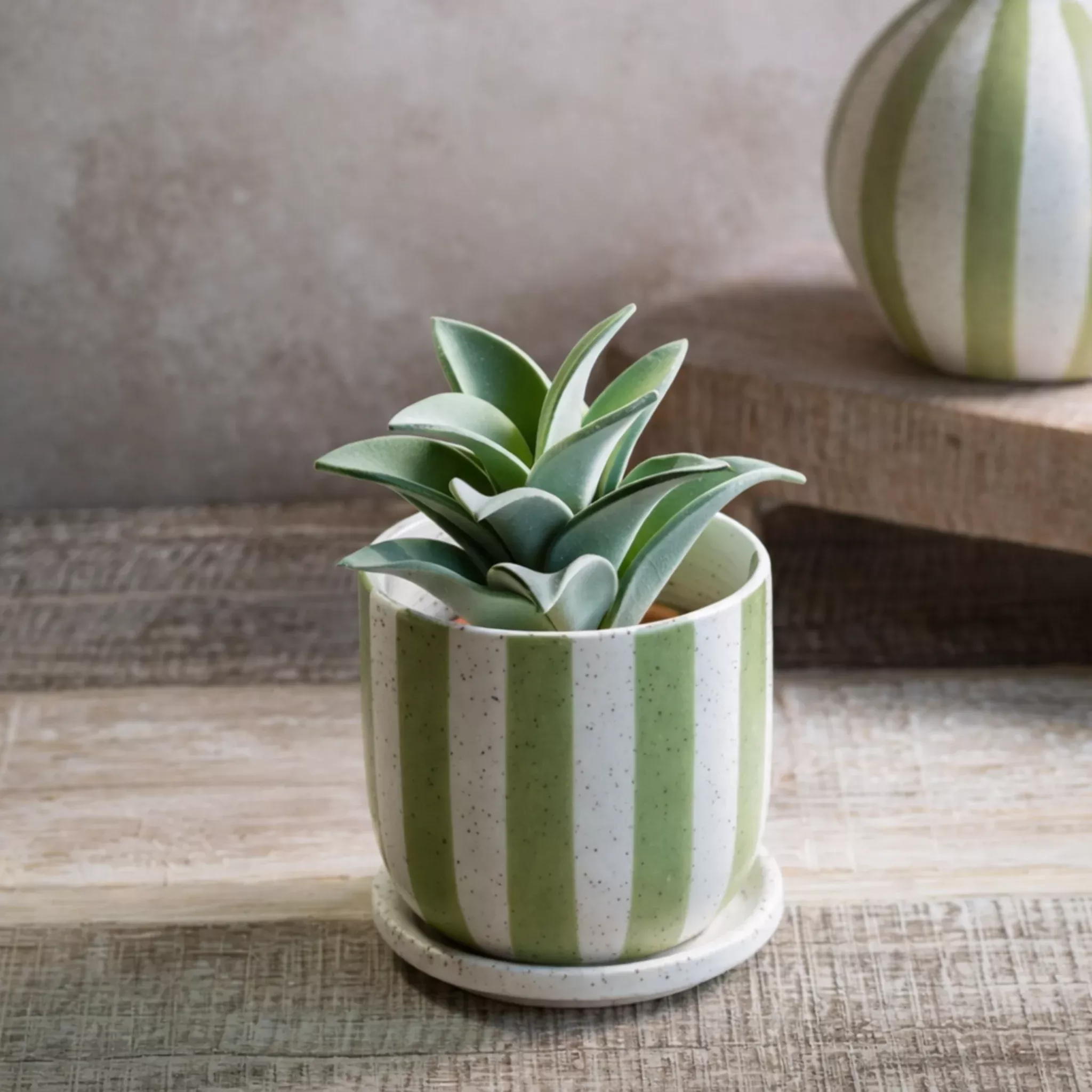 Matte Stripe Ceramic Planter
