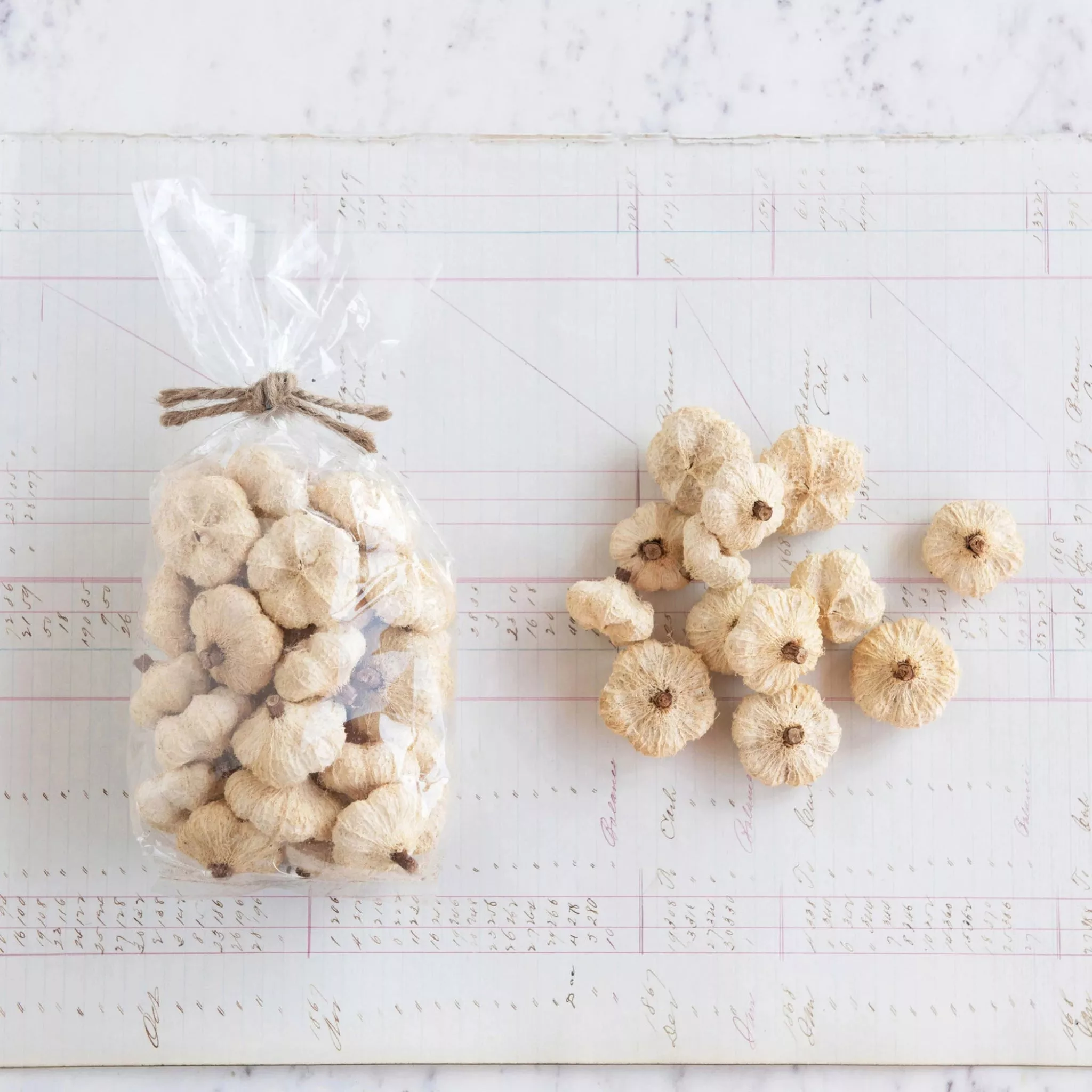 Natural Dried Peepal Pods