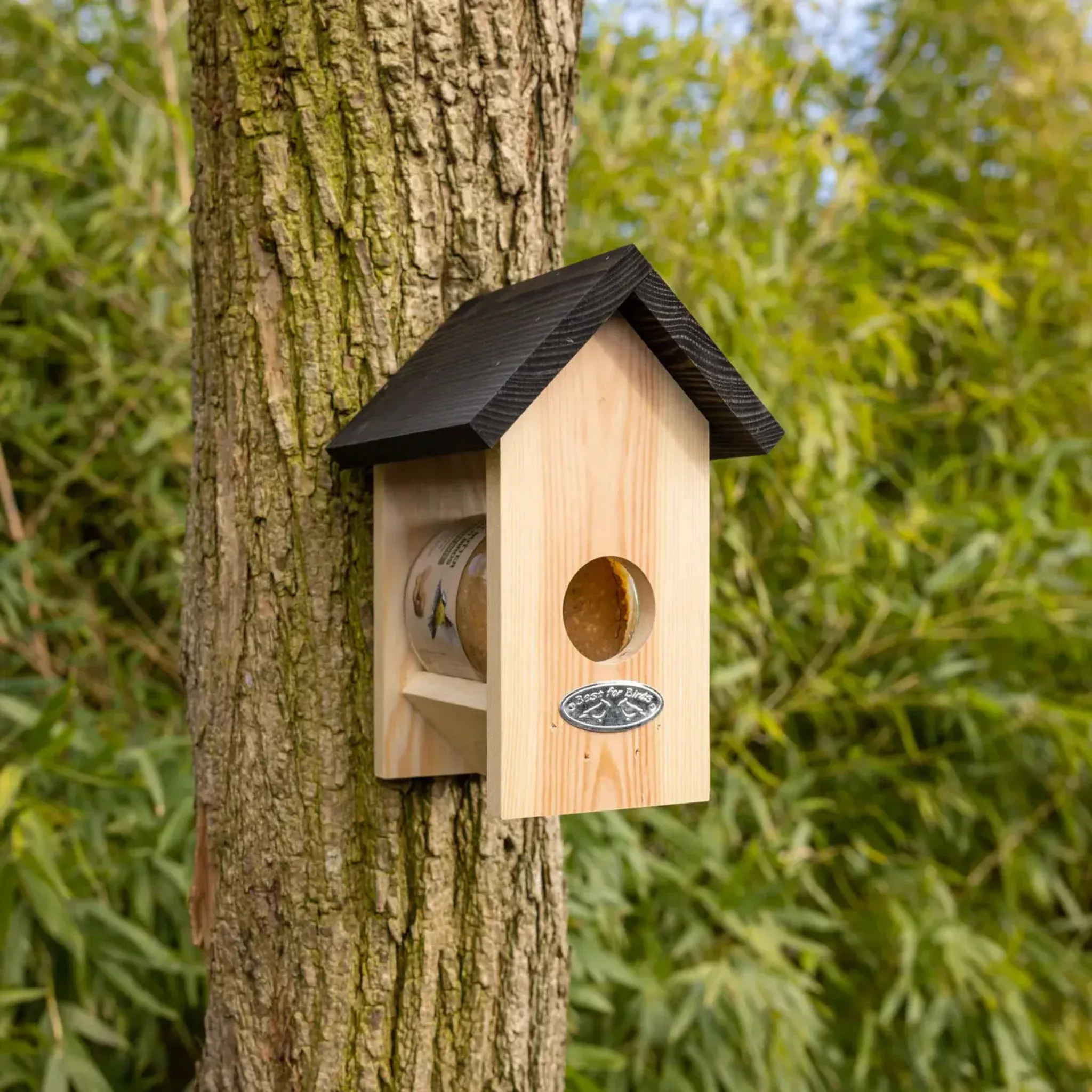 Peanut Butter Jar Bird Feeder