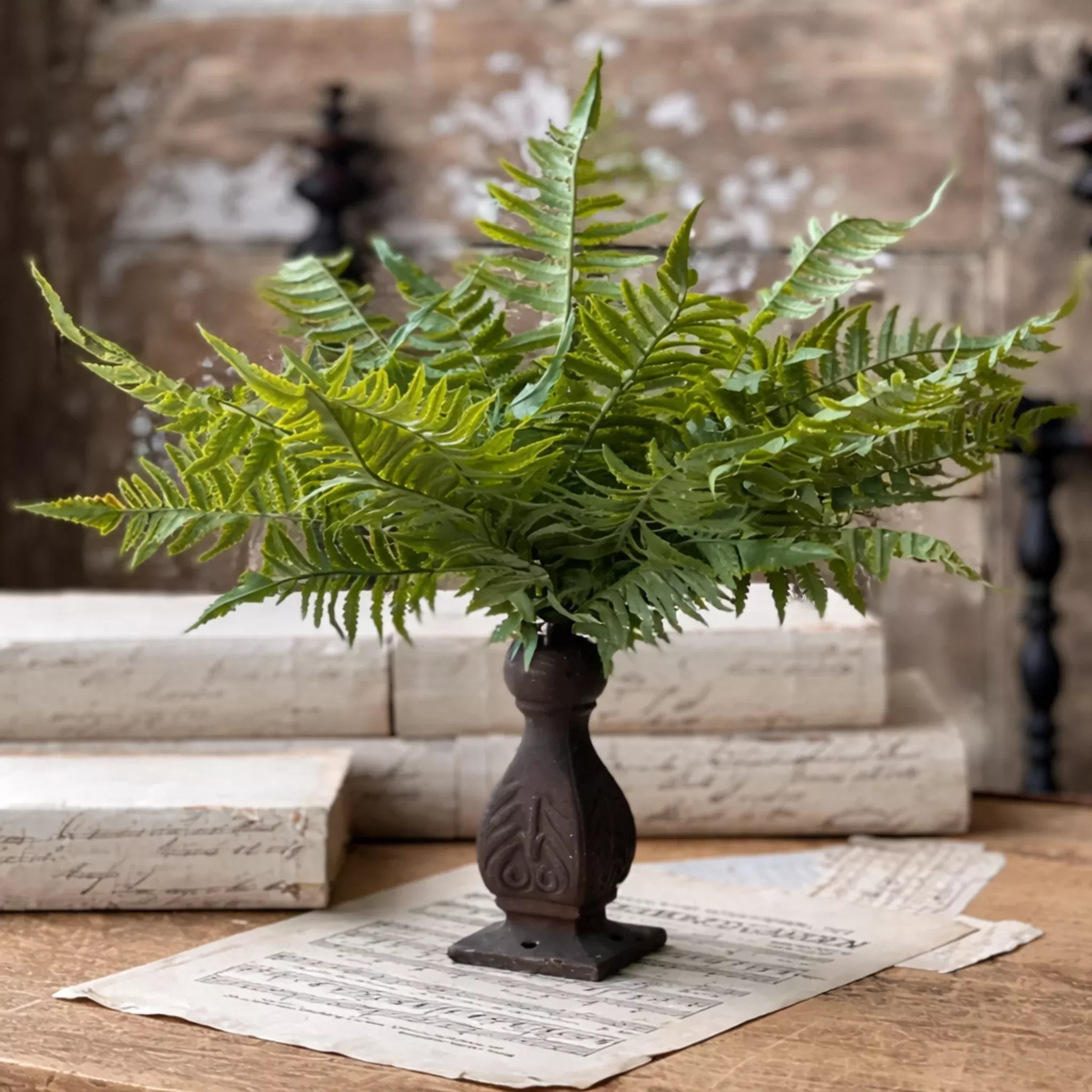 Ruffian Fern Bush