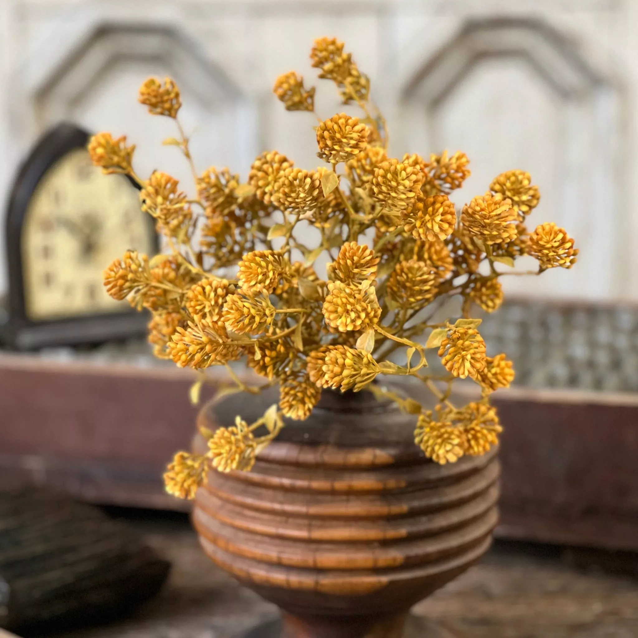 Russet Cone Bush