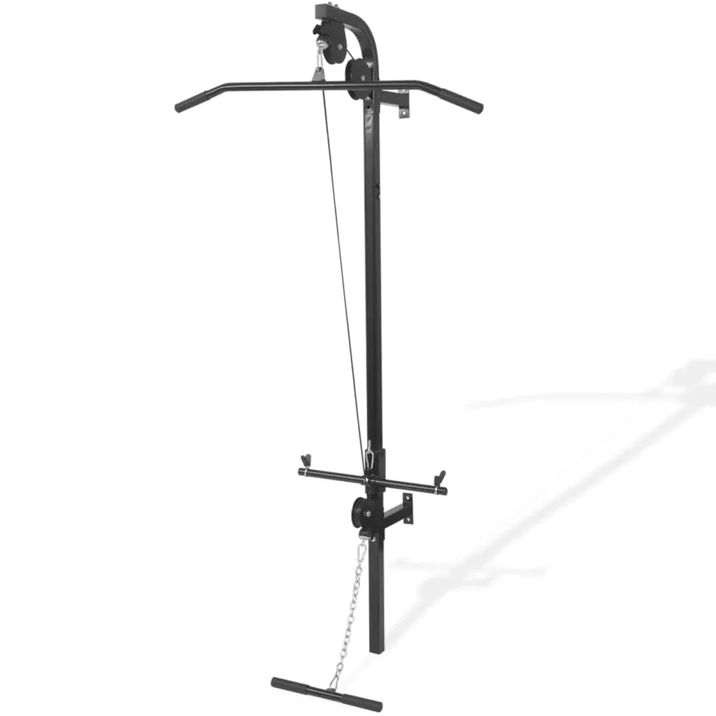 SATOHA vidaXL Wall-Mounted Home Gym with 2 Pulleys Cable Pull-up Station Bar Training