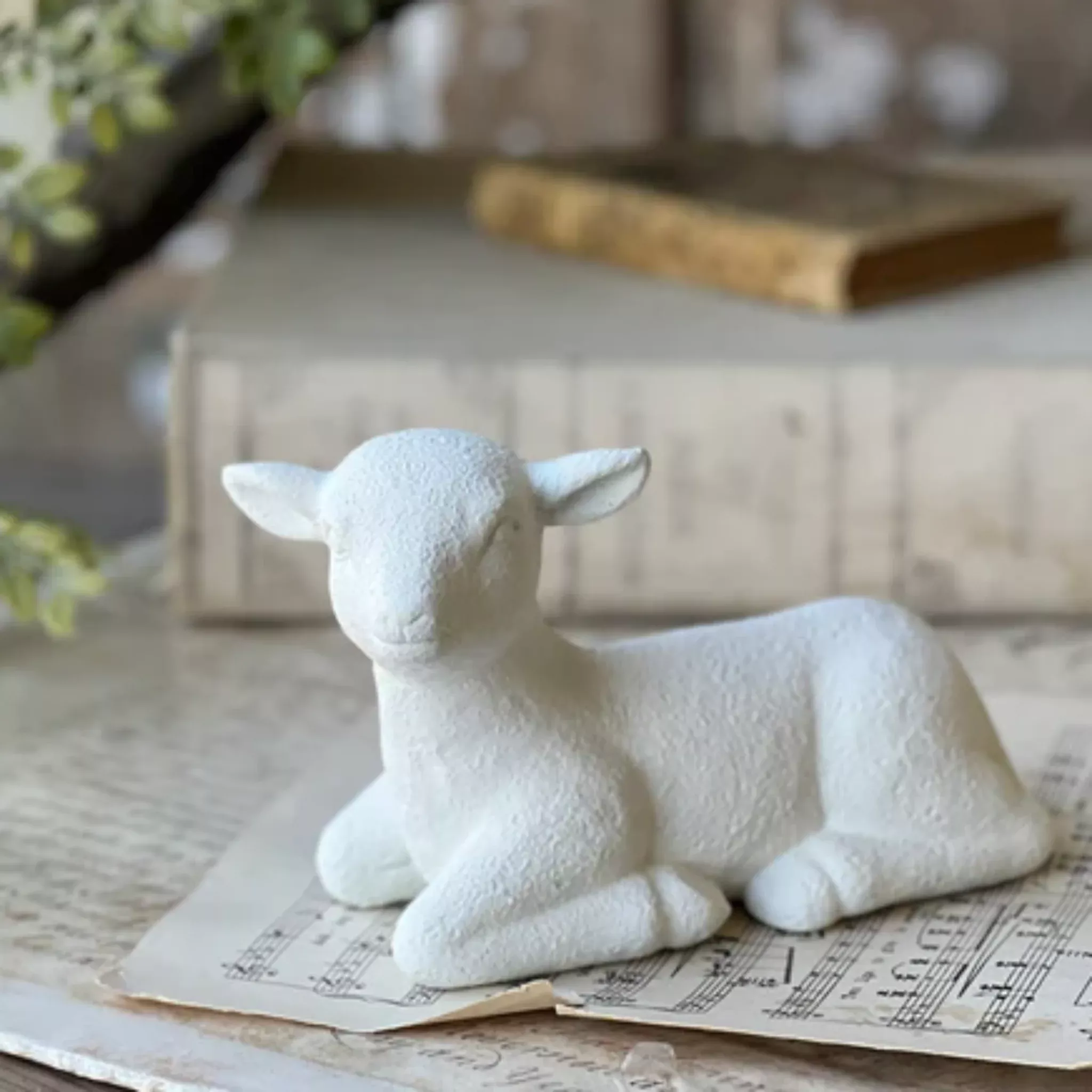 Shepherd's Rest Lamb