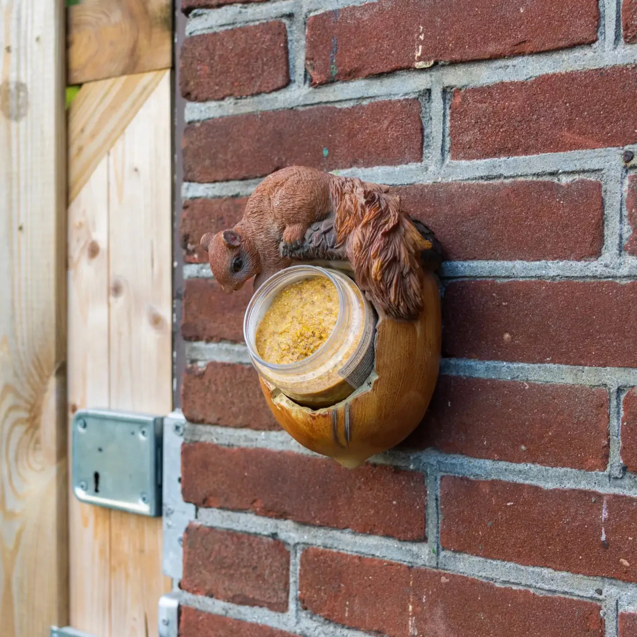 Squirrel Acorn Jar Holder Bird Feeder