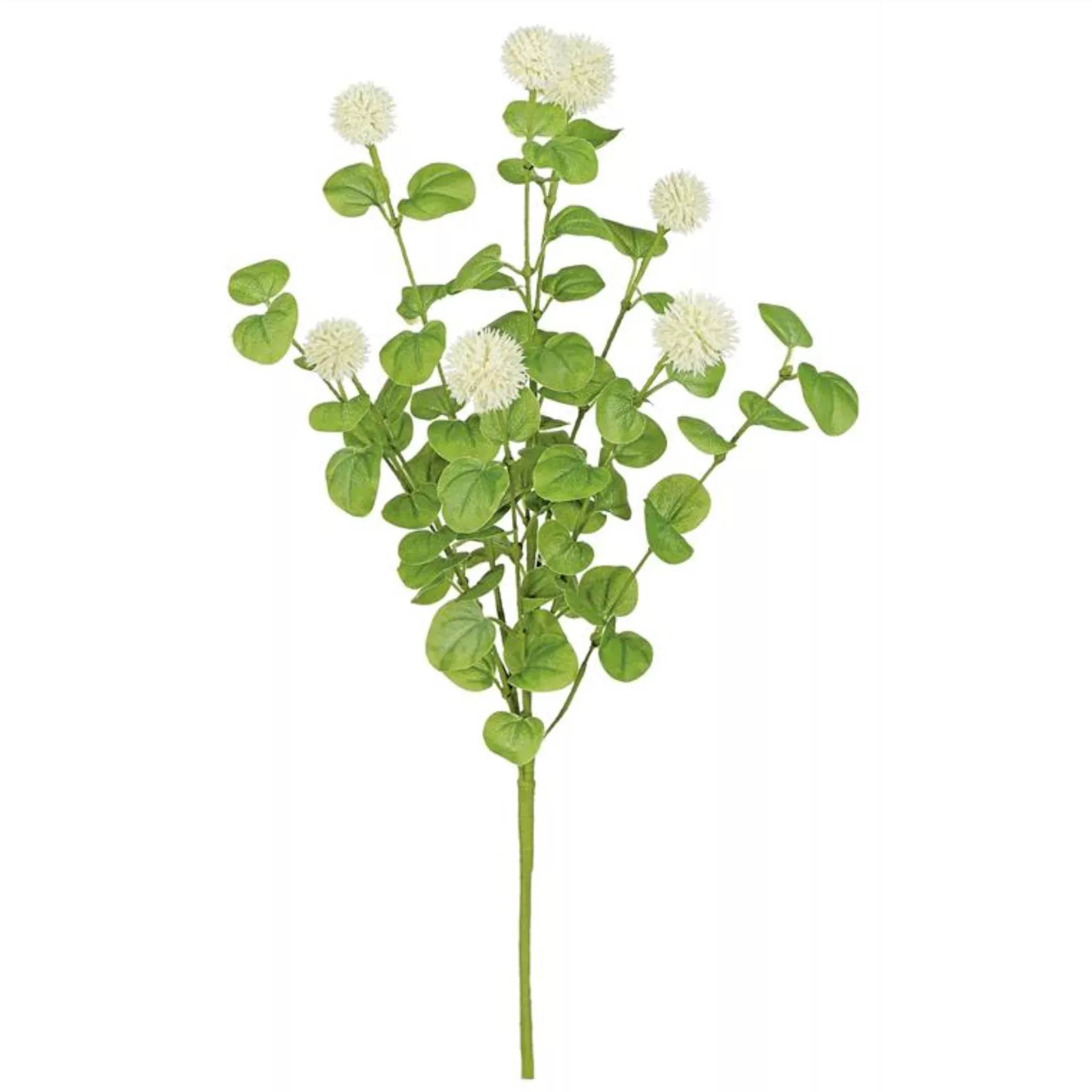 Wild Viburnum Bush